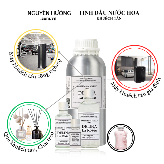 Tinh dầu nước hoa Delina La Rosée cho máy khuếch tán