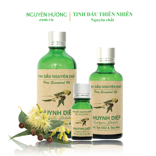 Tinh Dầu Khuynh Diệp Nguyên Hương