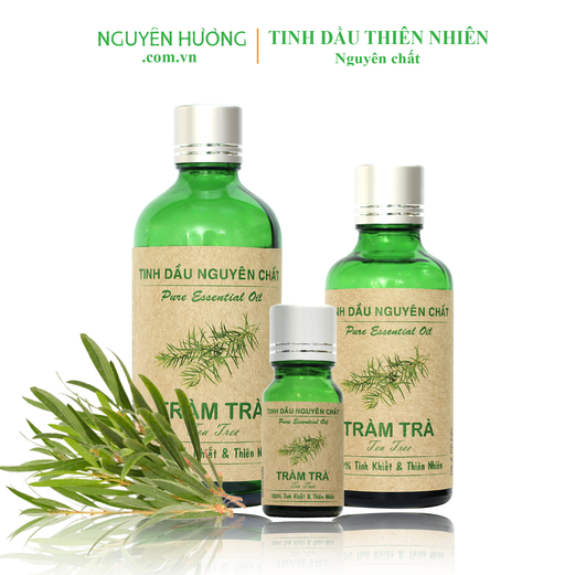 Tinh Dầu Tràm Trà Nguyên Hương