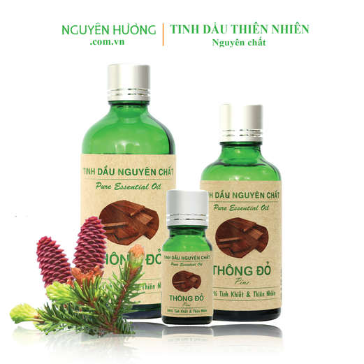 Tinh Dầu Thông Đỏ Nguyên Hương