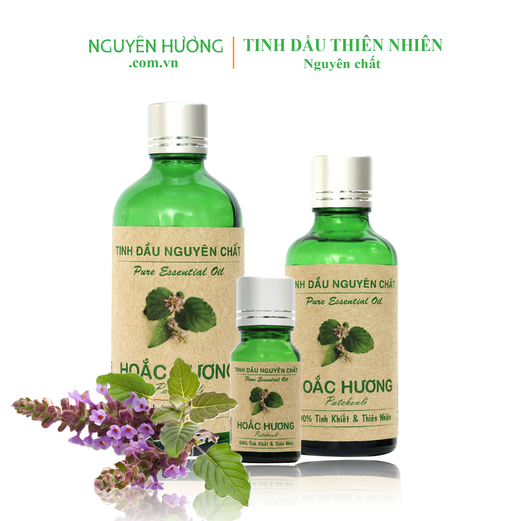 Tinh Dầu Hoắc Hương Nguyên Hương