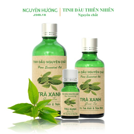 Tinh Dầu Trà Xanh Nguyên Hương