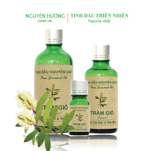 Tinh Dầu Tràm Gió Nguyên Hương