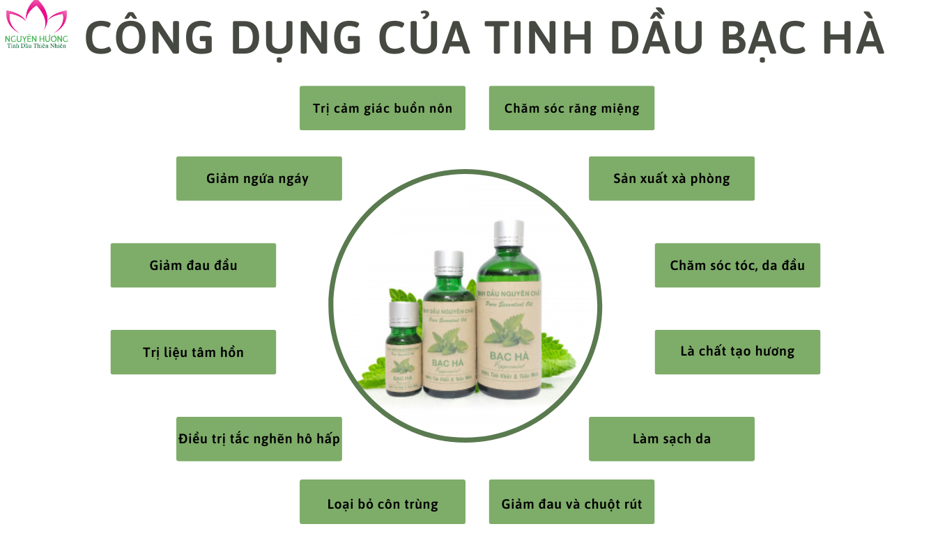 Bạn đã hiểu rõ về công dụng của Tinh dầu Bạc Hà?