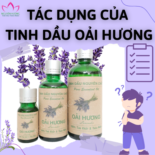 Tinh dầu oải hương (lavender) có tác dụng gì?