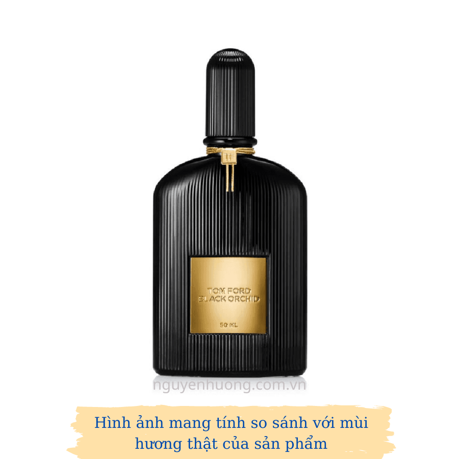 Tinh Dầu Nước Hoa Cao Cấp Black Orchid